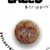 lazed Gummies
